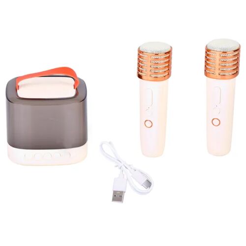 Drahtloser Mini-Karaoke-Lautsprecher mit 2 Mikrofonen, perfekt für Partys und zum Mitsingen