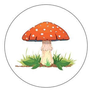 Öntapadós Ovis jel csomag Gomba mintával 120315619 - Ovis jel