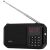 Radio portabil cu acumulator GoGEN FMP 125 BTB, FM, Bluetooth, lanterna, card micro SD, negru 120388984