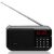Radio portabil cu acumulator GoGEN FMP 125 BTB, FM, Bluetooth, lanterna, card micro SD, negru 120388984