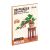 3D puzzle, Bonsai fenyő, RolLife, 115 db 120431989