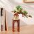 3D puzzle, Bonsai fenyő, RolLife, 115 db 120431989