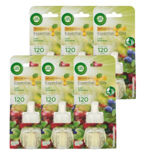 Air Wick Buja Rejtek Náplň do elektrického osviežovača vzduchu 6x19ml