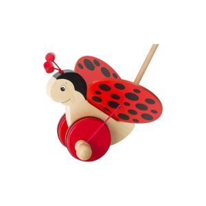 Tologatós csattogó szárnyú katica - goki 120583353 - Goki