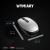 HP 240 Mouse Wireless Dimensiuni