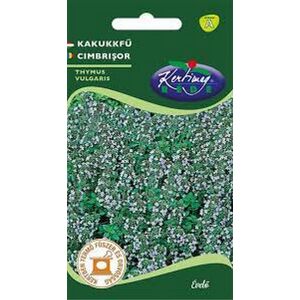 Kakukkfű 120548450 - Fűszermag