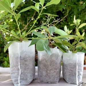 Termékenyítő csemetezsák 1000db 120657561 - Palántanevelő cserép