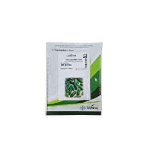 Uborka vetőmag , Levina Mix F1,Hibrid,250 szem / tasak 120836778 - Csíramag