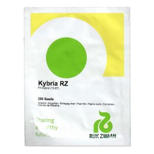Uborka Vetőmag Kybria, 250 szem/tasak, Rijk Zwan  120836779 - Csíramag