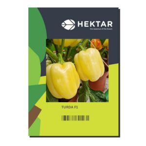 Kaliforniai Pparika vetőmag, Torda F1, 100 szem/ tasak  120846954 - Csíramag