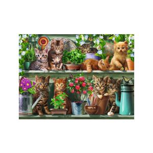 Ravensburger Kirakós - Cuki Cicák a Polcon - slika slagalice od 500 dijelova - Puzzle