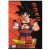 Poznámkový blok A4 Dragon Ball, 40 listov, sortiment, 3 druhy 121444137