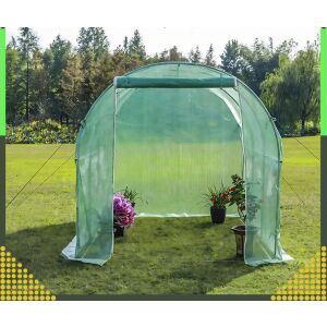 Sere verde de grădină, 4x2,5x2m, cu plante în interior - Gardlov