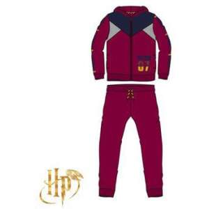 Harry Potter kids tracksuit, red jogging suit for boys, size 6 years - Kids' Tracksuit