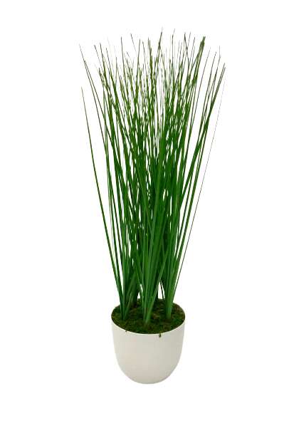 E-shop Tráva Tráva v okrúhlom bielom kvetináči 45 cm