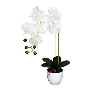 SmileHOME by Pepita Orchidea Művirág 1 szálas kerek kaspóban 55cm - Többféle