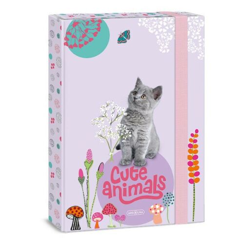 Füzetbox ARS UNA A/4 Cute Animals-kitten 122975258