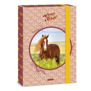 Füzetbox ARS UNA A/4 My Sweet Horse 122975271 - Füzetbox