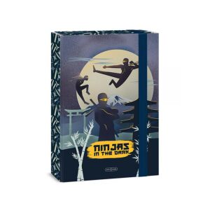 Ars Una Ninjas in the dark gumis füzetbox A/4 121925373 - Füzetbox