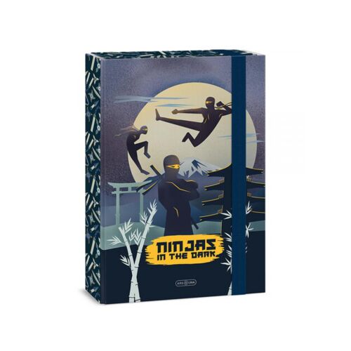 Ars Una Ninjas in the dark gumis füzetbox A/4