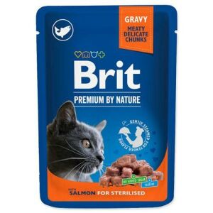 BRIT PREMIUM Pouch Salmon Sterilized 100 g