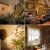 Solarbetriebene Lichterkette mit 100 warmweißen LED-Lampen, 11,8 Meter lang, schmückt ein Haus zu Weihnachten
