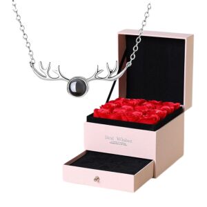 Geschenkbox mit roten Rosen und einer silbernen Hirschkette, Marke Best Wishes - Kunst & Hobby