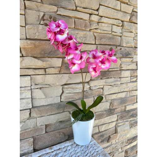 Orchidea 1 szálas -pink 41095157