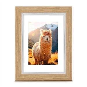Hama Lima 15x21cm tölgy műanyag képkeret, alpaka fotós képpel - Hama
