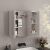 WANDHÄNGENDER BADEZIMMERSCHRANK MIT DREITEILIGEM SPIEGEL MODERN 60 CM 122128118