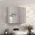 WANDHÄNGENDER BADEZIMMERSCHRANK MIT DREITEILIGEM SPIEGEL MODERN 60 CM 122128118