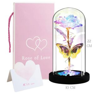 Vječna ruža u žarulji s LED svjetlom - Bijela/zlatna - Leptir, 1 ruža LOVE06 122152505 - Umjetnost i hobiji