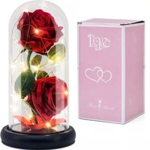 LED-Rose mit schwarzem Sockel - Rot/Grün - 2 Rosen LOVE10