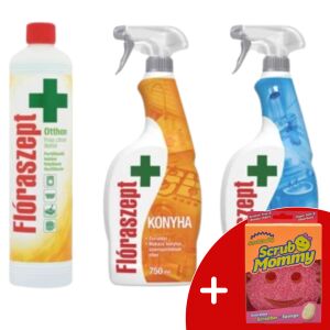 Flóraszept Household Cleaning Bundle with Lemon Disinfectant, Kitchen Spray, Bathroom Spray, and Scrub Mommy Sponge - General cleaner