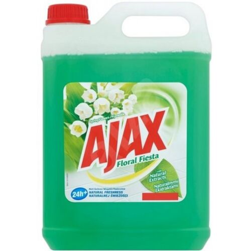 Ajax allgemeiner Reiniger Spring Flowers 5L 122391926