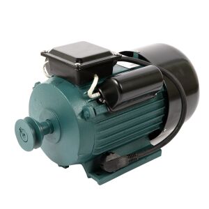 DDT PROFESSIONAL 4000W 3000 RPM einphasiger Elektromotor mit Riemenscheibe - DDT