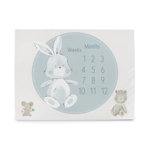 CEBA BABY Mérföldkő fotózó alátét (92x72) Basic Friends 122559262 - Baba mérföldkő takaró