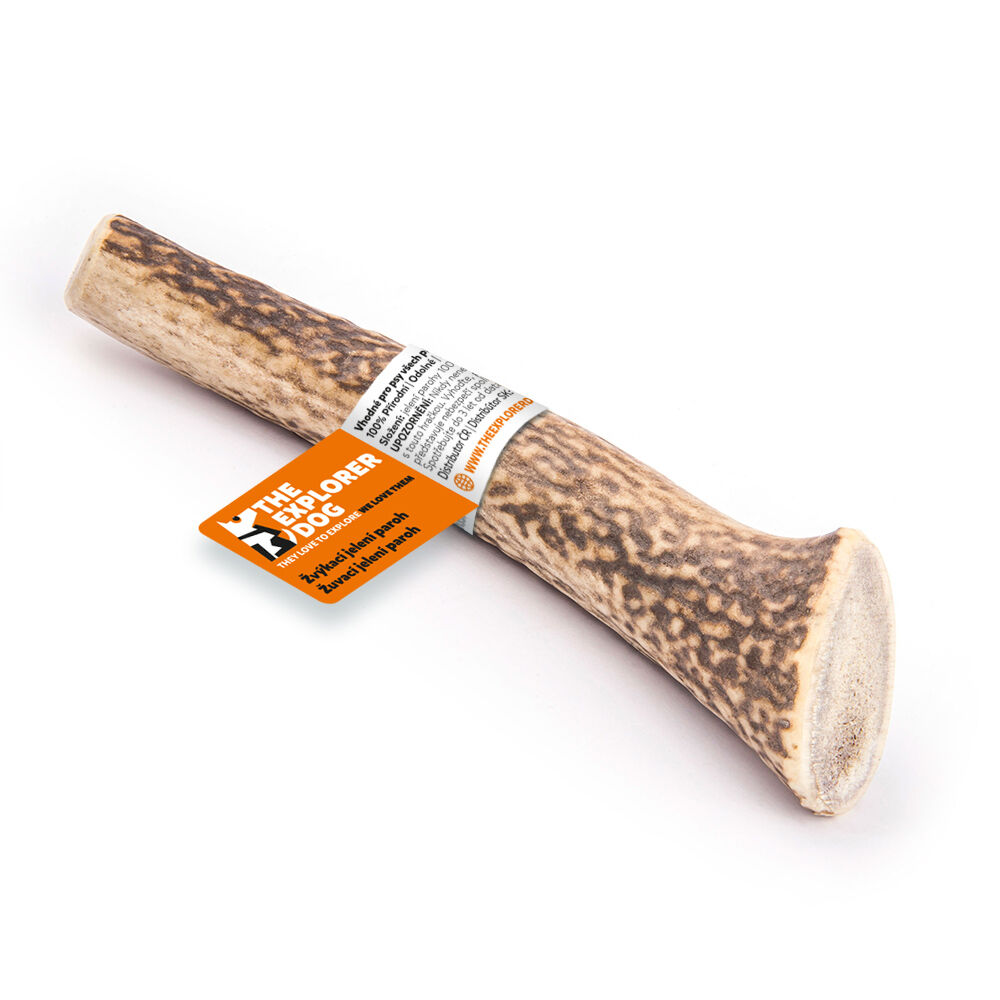 EXPLORER DOG Rágható szarvasagancs L kemény