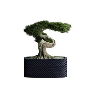 Dekotopf Sani, Bonzai, groß 185 x 103 x 80 mm, Mattschwarz 122750776 - Übertöpfe