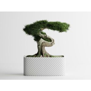Декоративна саксия Sani, Bonzai, голяма 185 x 103 x 80 mm, Matt White 122750838 - Градинарство