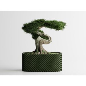 Dekoschale Sani, Bonsai, klein 164 x 64 x 50 mm, dunkelgrün matt 122750815 - Übertöpfe