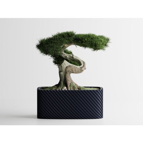 Dekotopf Sani, Bonzai, groß 185 x 103 x 80 mm, Dunkelblau Matt 122750844