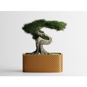 Doniczka dekoracyjna Sani, Bonsai, mała 164 x 64 x 50 mm, Złota 122750845 - Punch
