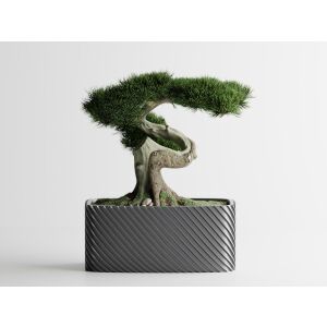 Doniczka dekoracyjna Sani, Bonzai, duża 185 x 103 x 80 mm, srebrna 122750875 - Ogród