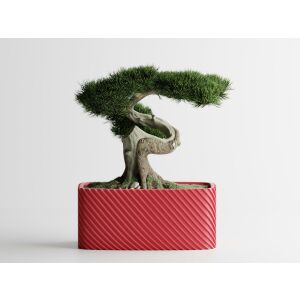 Декоративна саксия Sani, Bonzai, малка 164 x 64 x 50 mm, Розова 122751122 - Перфоратор