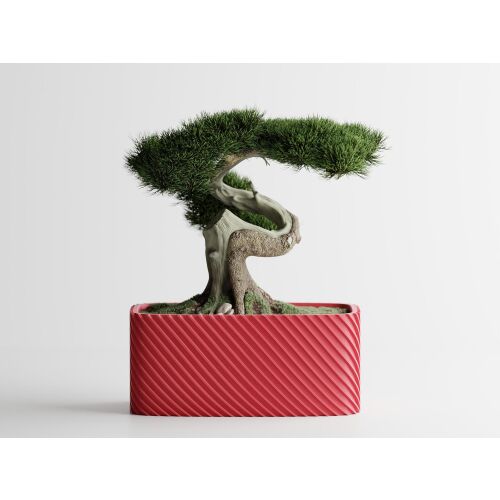 Dekotopf Sani, Bonzai, groß 185 x 103 x 80 mm, Rosa 122751128