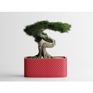 Doniczka dekoracyjna Sani, Bonzai, duża 185 x 103 x 80 mm, różowa 122751128 - Punch