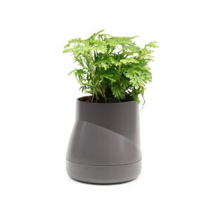 DesignNest önöntöző növénycserép, Plant Pot Large, beltéri/kültéri használatra, írószer tartónak is használható, ajándéknak is ideális, minimalista dizájn, szürke