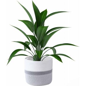 Cos pentru ghivece Colmanda, bumbac, alb/gri, 28 x 28 cm 123136880 - Cutii de depozitare și coșuri