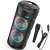 ZQS-4239 Bluetooth speaker with microphone, karaoke speaker, portable, black, 15W, LED lights